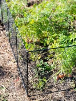 Chicken Wire Critter Fence, 16" High 17 Chicken Wire Critter Fence, 16" High -Garden Care Sale 8613249 0309