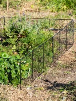Chicken Wire Critter Fence, 16" High 18 Chicken Wire Critter Fence, 16" High -Garden Care Sale 8613249 0336