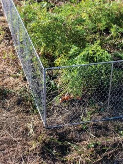 Chicken Wire Critter Fence, 16" High 15 Chicken Wire Critter Fence, 16" High -Garden Care Sale 8613249 0358