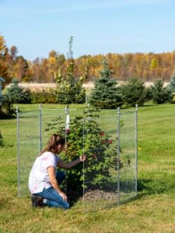 Tall Chicken Wire Critter Fence Extension Panel, Set Of 2 -Garden Care Sale 8613260 0044 1