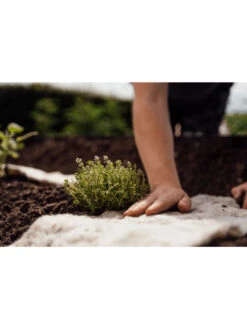 Hortiwool ®, Starter Garden Pad -Garden Care Sale 8613263 09v