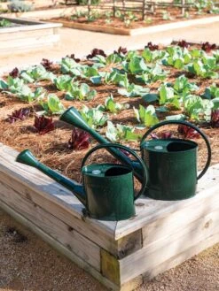 Long Reach Watering Can, Large 10 Long Reach Watering Can, Large -Garden Care Sale 8613346 0148 1