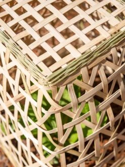 Bamboo Cloche, Set Of 2 -Garden Care Sale 8613351 0154