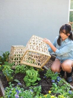 Bamboo Cloche, Set Of 2 -Garden Care Sale 8613351 6862