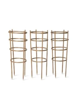 Bamboo Tomato Cages, Set Of 3 -Garden Care Sale 8613426 4679 bamboo tomato cages 3