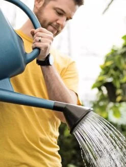 French Blue Watering Can -Garden Care Sale ChrisAhrensSquare 0118 tif