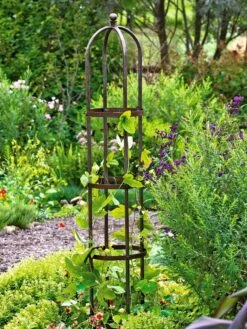 Jardin Bird Cage Support, 26" -Garden Care Sale GS39529 01 tif