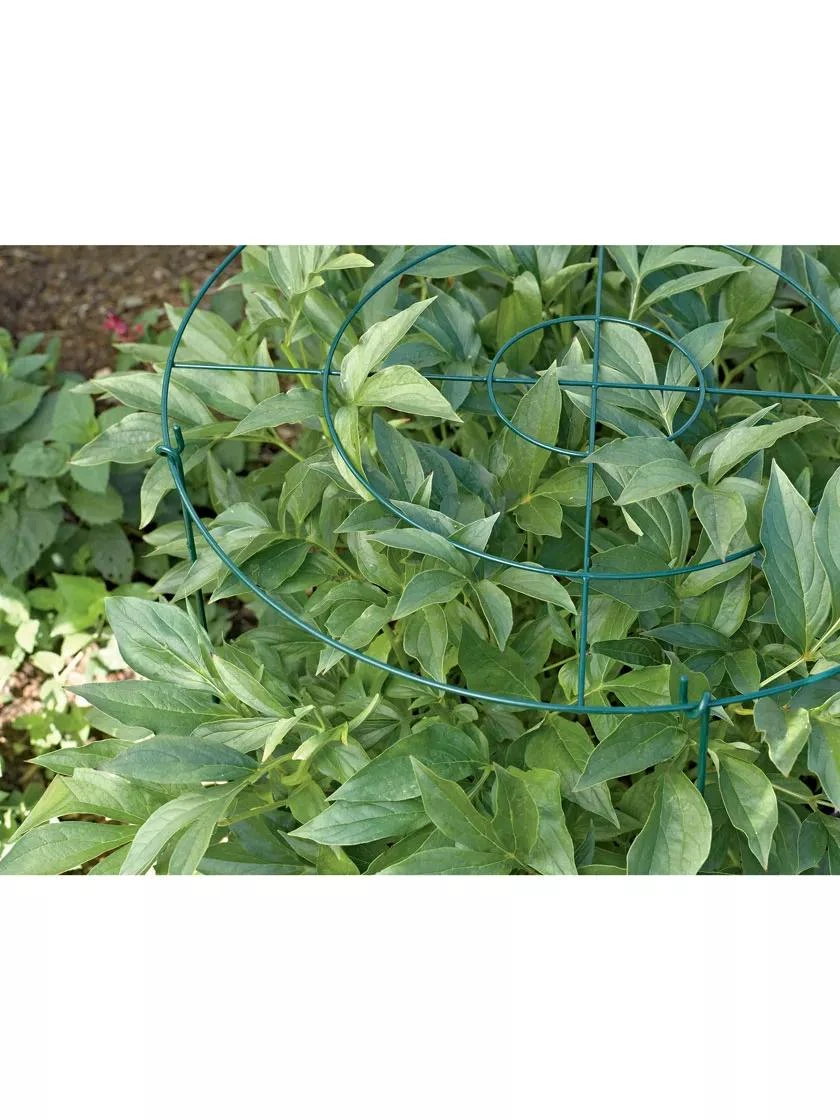 Grow Through Supports, Set Of 3 4 Grow Through Supports, Set Of 3 - Image 4