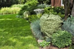 ShrubJacket Covers -Garden Care Sale gs39166 02