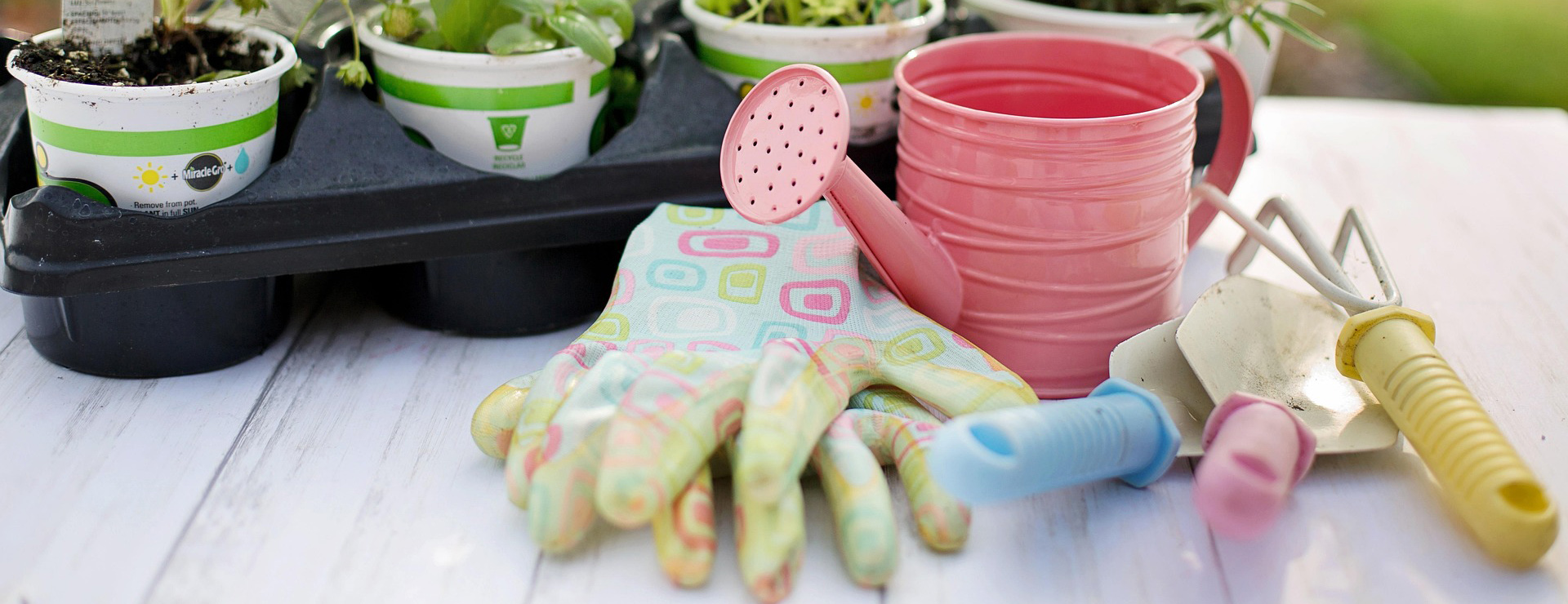 Garden Care Sale -Garden Care Sale planting 4226838 1920 1