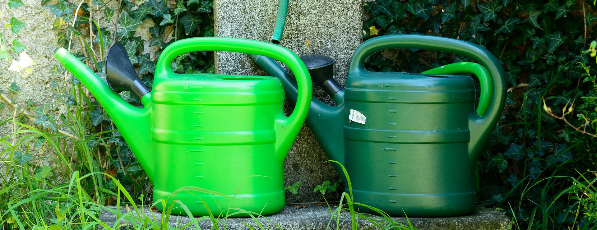 Garden Care Sale -Garden Care Sale watering hole 1696156 1920 1